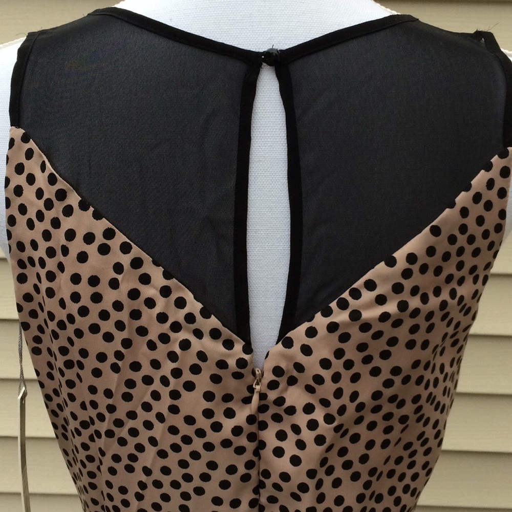 Lauren Conrad Sweet Confections Dress - Picture 3 of 8